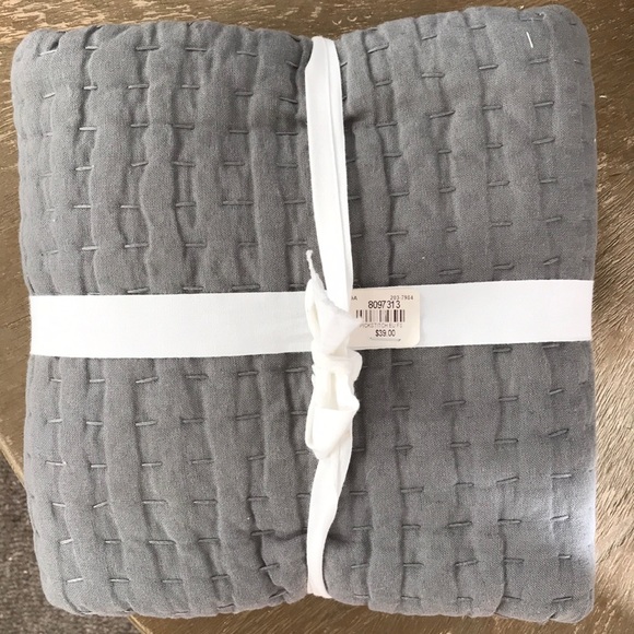 Pottery Barn sham - Picture 1 of 2